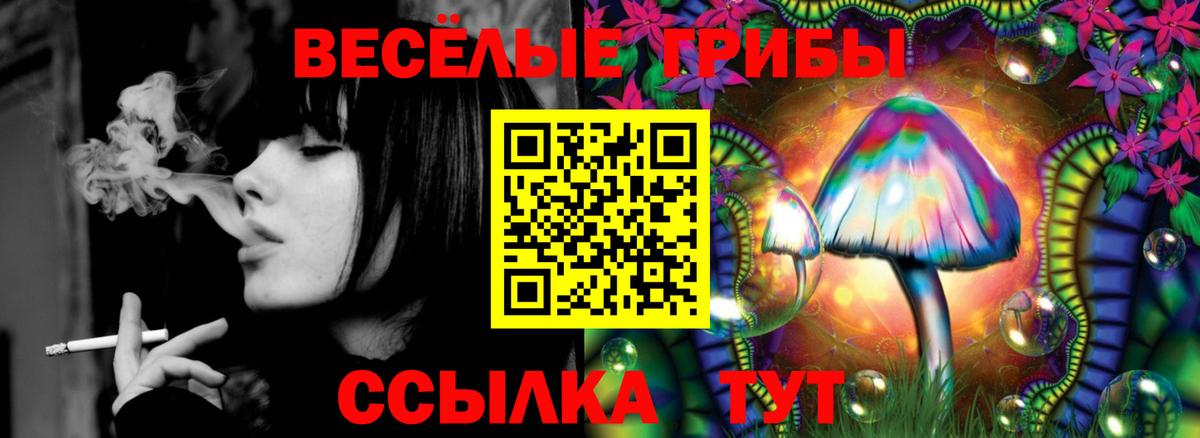 Галлюциногенные грибы Cubensis Нарткала